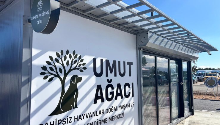 Her kurdele bir yuva: Umut Ağacı can dostlara açıldı